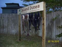 Click to enlarge image  - Fishing in Port Aransas - 